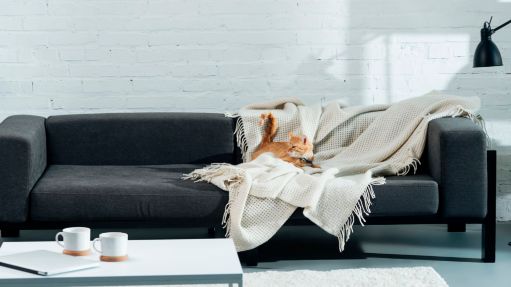 Sofá de linhas retas na cor cinza grafite com uma manta off-white jogada, onde um gato laranja está deitado, em frente a uma parede de tijolos brancos