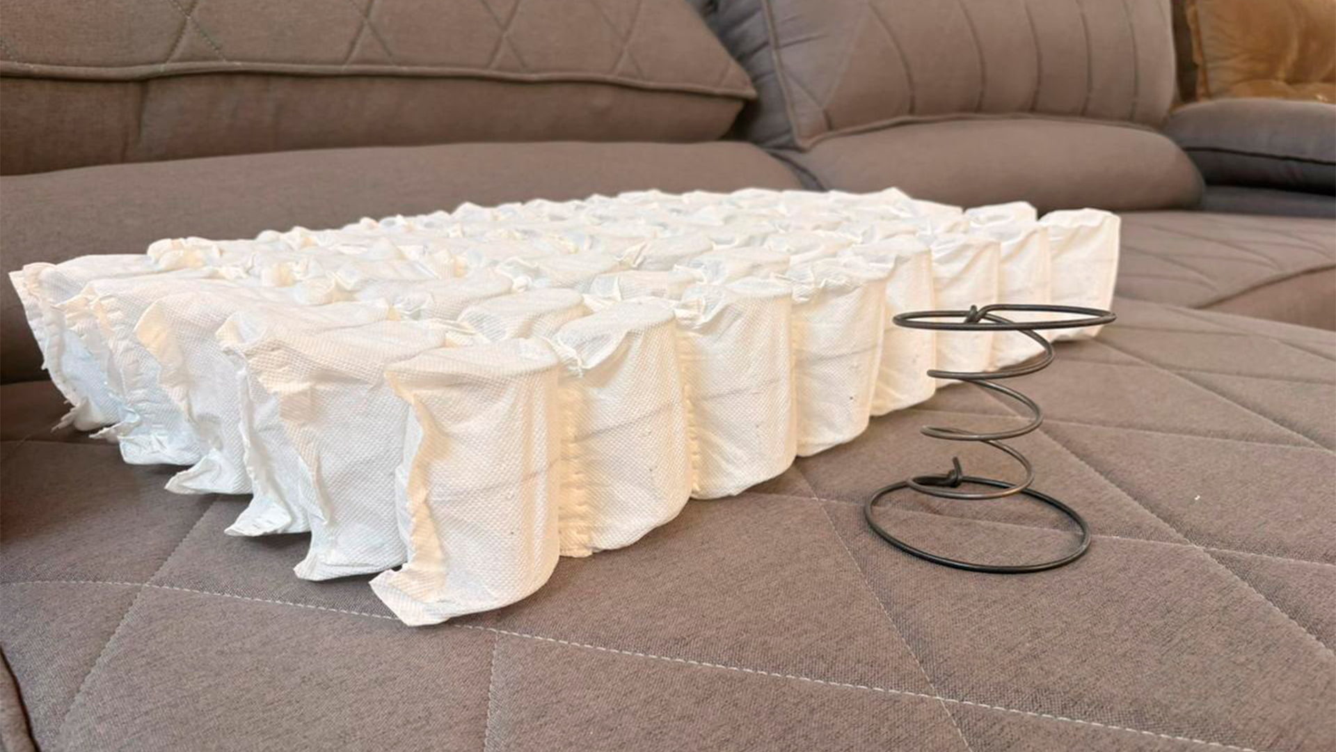 Molas Bonnel ou Ensacadas